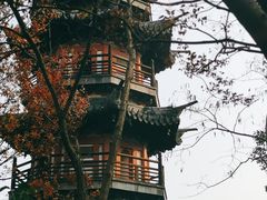 -上海佘山国家森林公园西佘山园