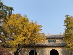 -灵谷景区