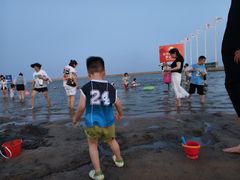 -碧海金沙