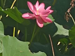 -长春市南湖公园