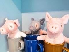 -WHEN PIGS FLY当猪飞
