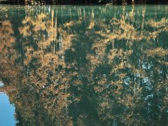 -桤木河湿地公园