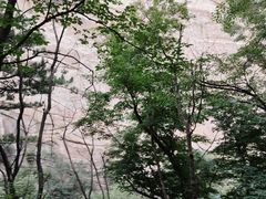 -云蒙山风景区