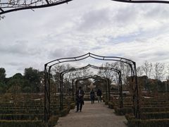 -丽池公园