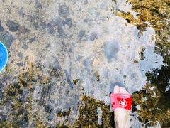 -碓臼峪自然风景区