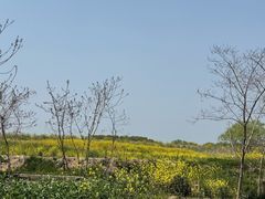 -同里国家湿地公园