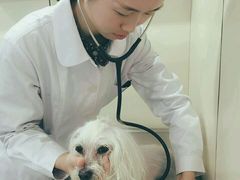 -荣耀金沙动物医院(清江西路店)