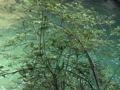 -安徽天堂寨风景区
