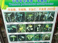 -和顺古镇