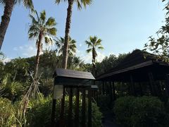 -广州都喜泰丽温泉度假酒店