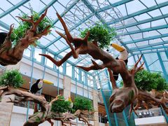 -大族广场Mall&More