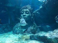 -暹罗海洋世界
