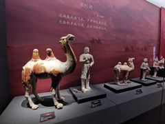 -中国江南水乡文化博物馆