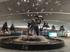 -青岛胶东国际机场