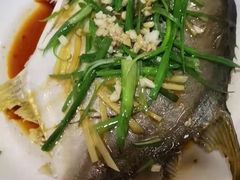 -天鹅到家·保姆月嫂育儿嫂(蔚蓝海岸店)