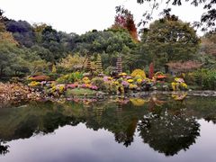 -杭州植物园