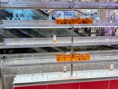 -MUJOSH木九十眼镜(武商广场店)