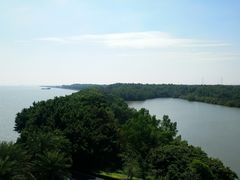 -大湾区中央湿地公园