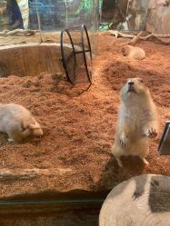 -Zoolung Zoolung动物主题公园(海信广场店)