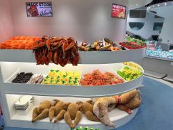 -MINI MARS KIDS CLUB亲子家庭中心(长宁天山店)