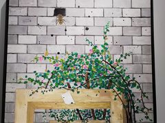 -宝龙艺术中心(七宝宝龙城店)