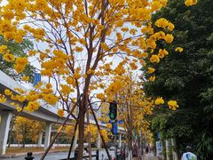 -晓港公园