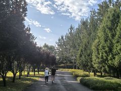 -永定河休闲森林公园