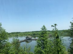 -溱湖国家湿地公园