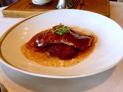 -金轩中餐厅 Jin Xuan(浦东丽思卡尔顿酒店)