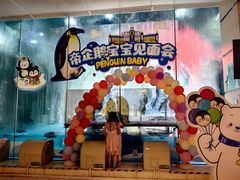 -帝企鹅自助餐厅•儿童岛•真企鹅(长隆企鹅酒店)