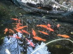 -途中饭店(开化店)