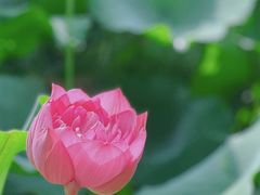 -黄兴公园