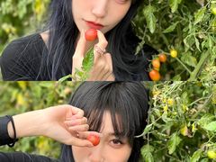 -丹樱生态园