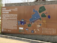 -林栖谷森林康养度假区