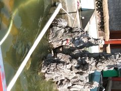 -八姑农庄·广府西江菜·云南野生菌