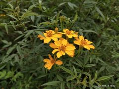 -优游吧斯邹族文化部落