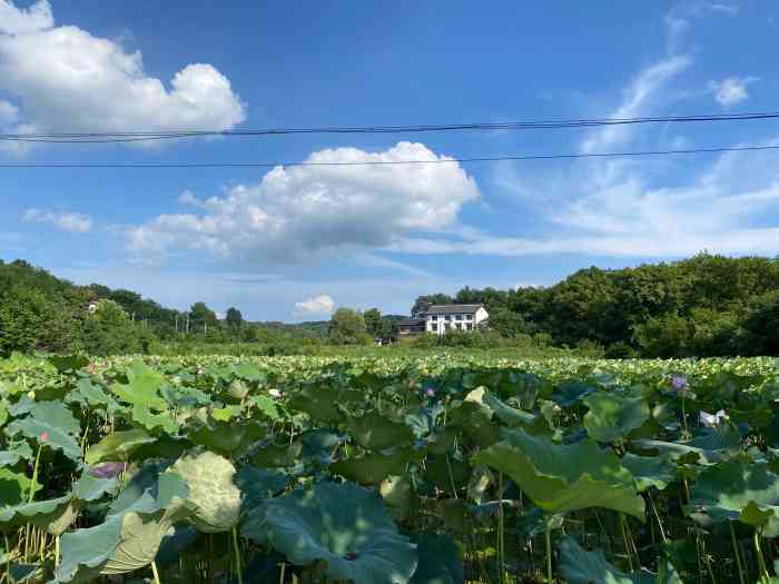 郝堂村-