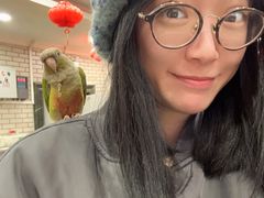 -迎宾楼(解放西街店)