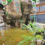 感谢本地人带路！青岛海鲜私房菜之光！