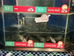 -鱼酷活鱼烤鱼(梅江印象城店)