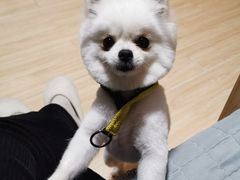 -喵汪宠物生活馆(涞坊路店)