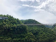 -川西竹海景区