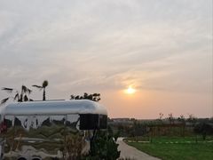 -空港花田景区