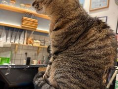 -猫的天空之城概念书店(杭州南宋御街店)