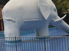-青年湖公园水上世界