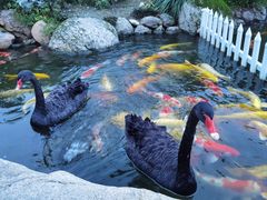 -罗红摄影艺术馆