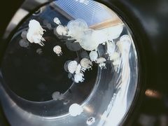 -鹿儿岛水族馆