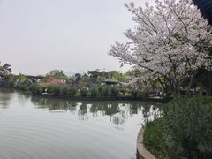 -无锡蠡湖国家湿地公园-蠡园