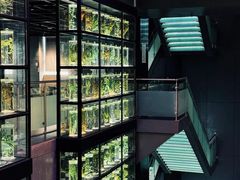 -广东中医药博物馆