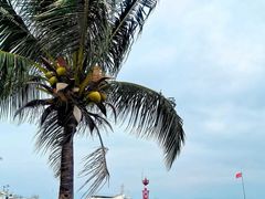 -三亚西岛海洋文化旅游区